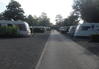 Rowntree Park Caravan Club Site