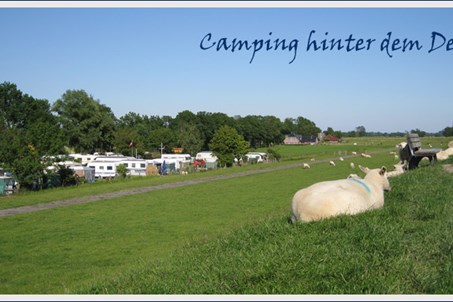 Homepage www.elbdeich-camping.de
