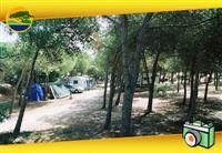 © Homepage www.campinglinibari.com