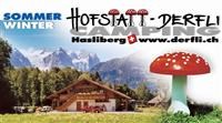 Camping Hofstatt-Derfli, Hasliberg